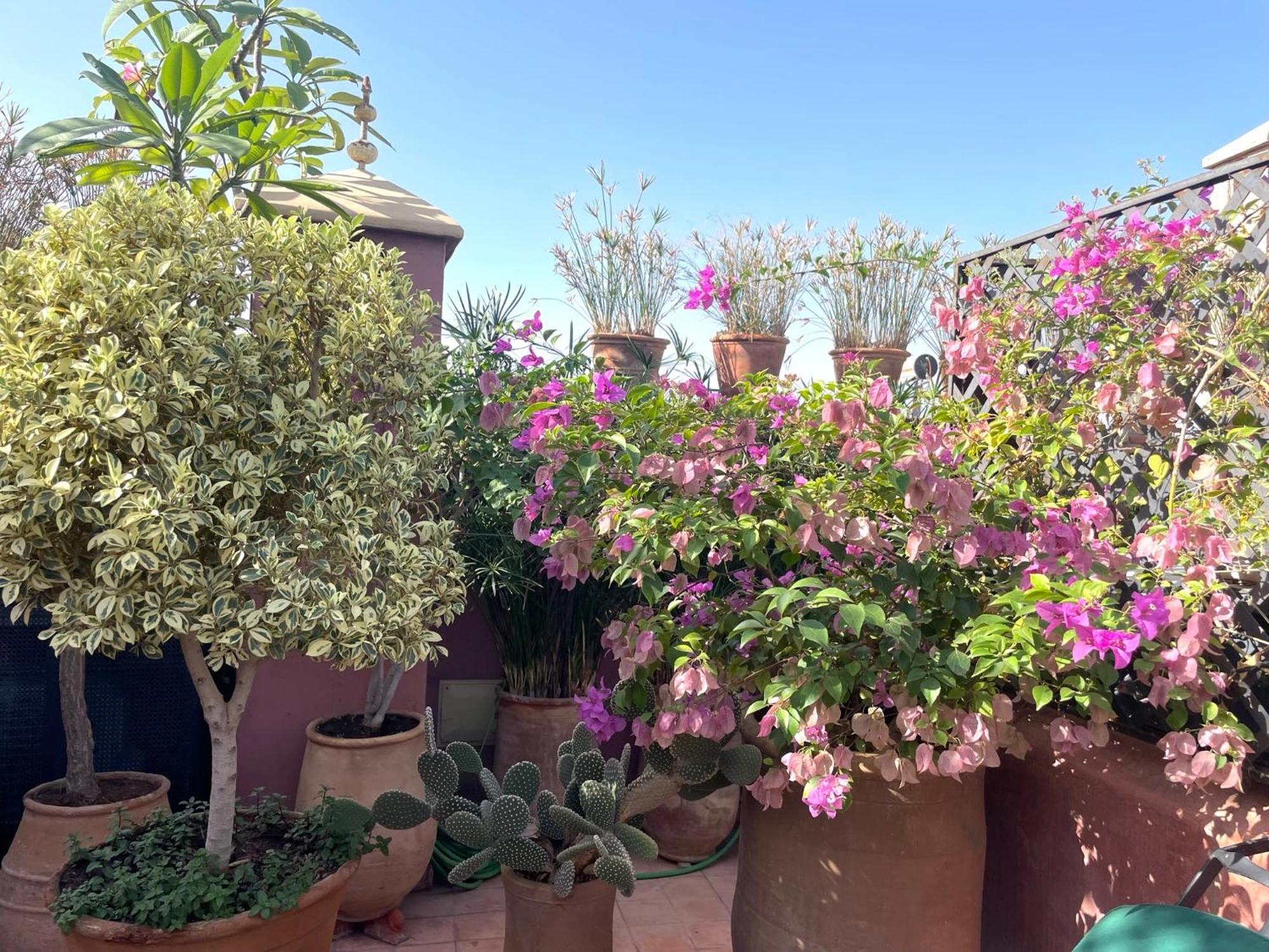 Riad Dar Al Assad Marrakesz Zewnętrze zdjęcie